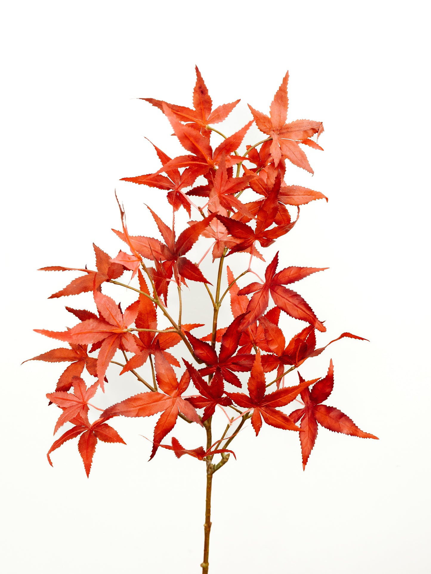 Japanese Maple Spray - 27"