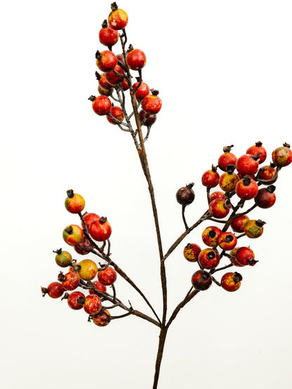 Crab Apple Stem - 32"