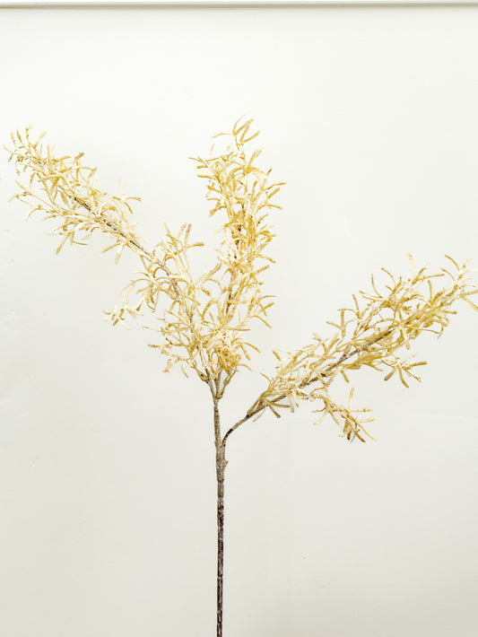 Fall Grass Spray