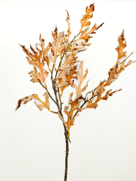 Dried Oak Leaf Spray - 31"