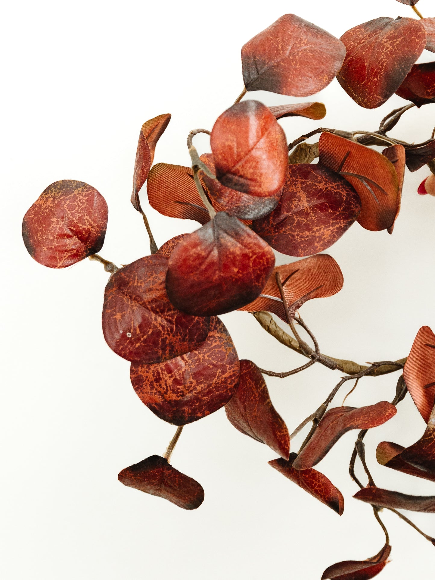 Burgundy Gumdrop Eucalyptus Wreath - 12"