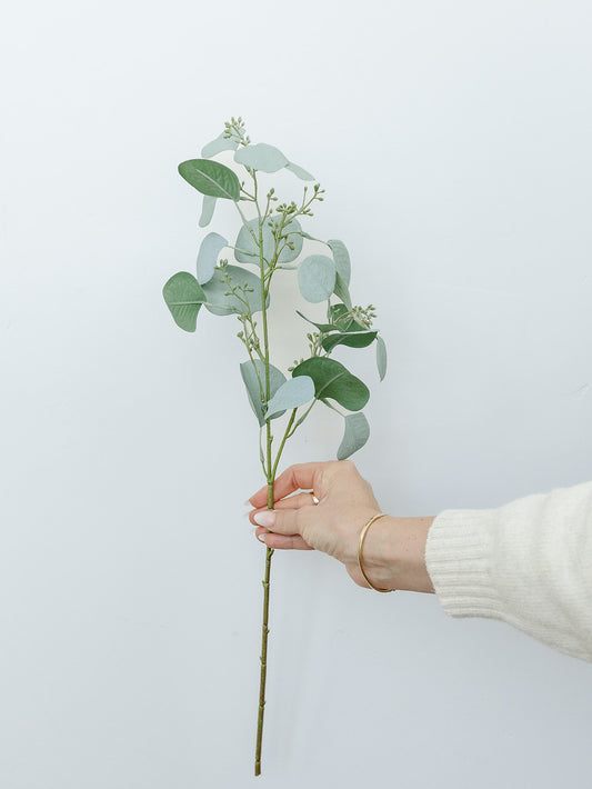 Eucalyptus Stem with Berries- 40"