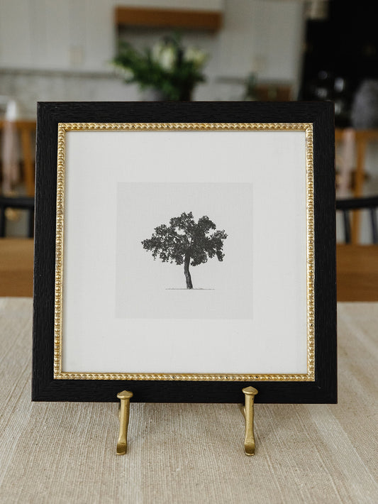 Scenic Tree Framed Art