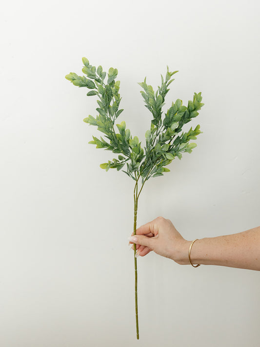 Boxwood Stem- 26"