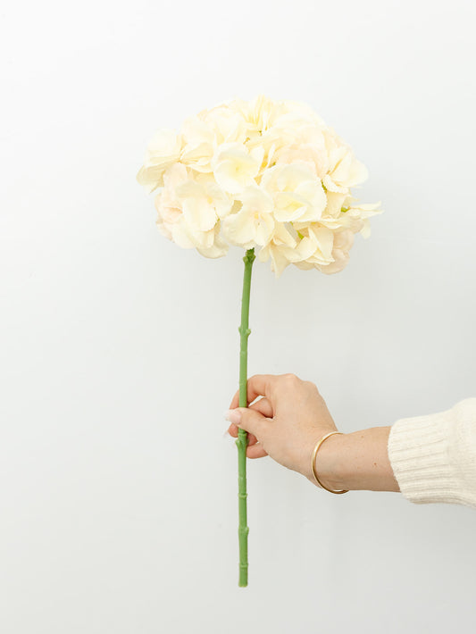 Hydrangea Stem in Cream and Blush- 19"