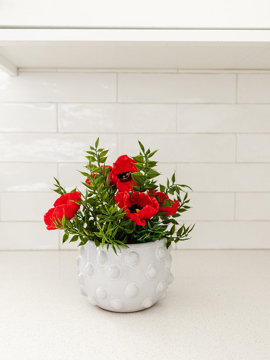 White Terracotta Planter with Dots