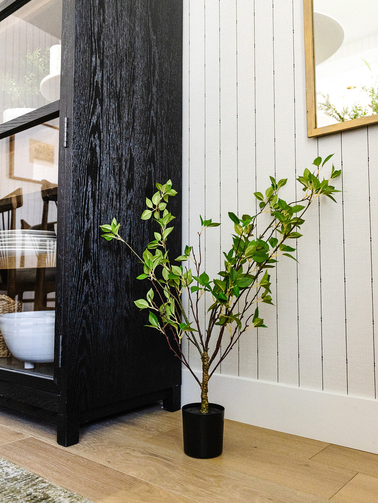 Cornus Tree - 33"