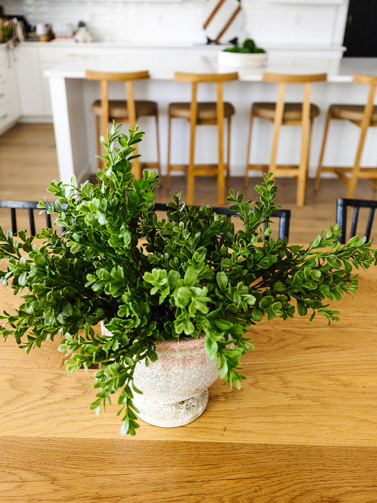Real Touch Boxwood - 18"