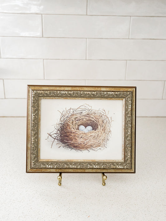 Nest of Blue Eggs Framed Art - 2 Sizes