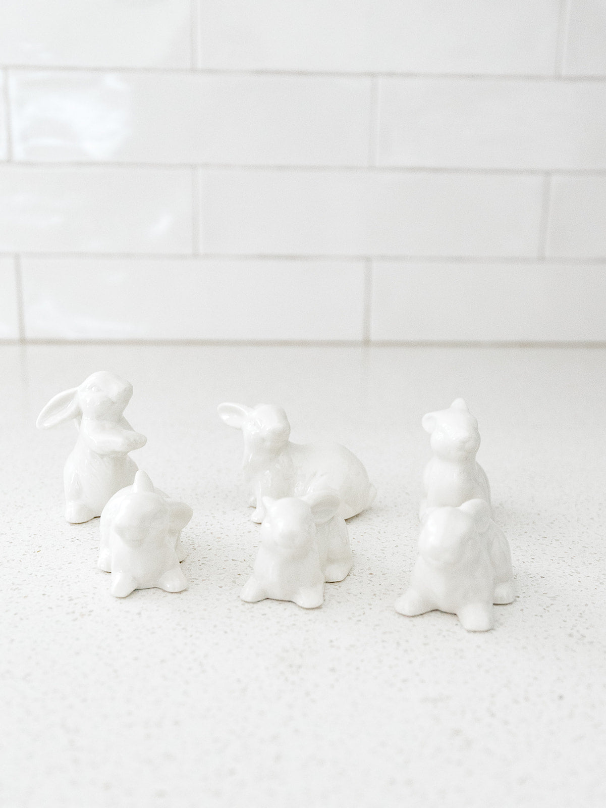 Boxed Set of 6 Bunnies