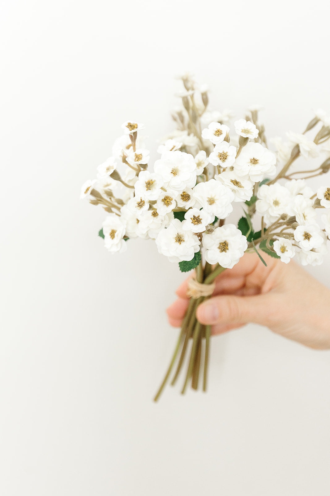 White Primrose Bundle - 6 Stems - 11"