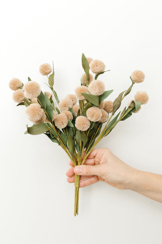Tan Pompom Bundle - 6 Stems - 13"