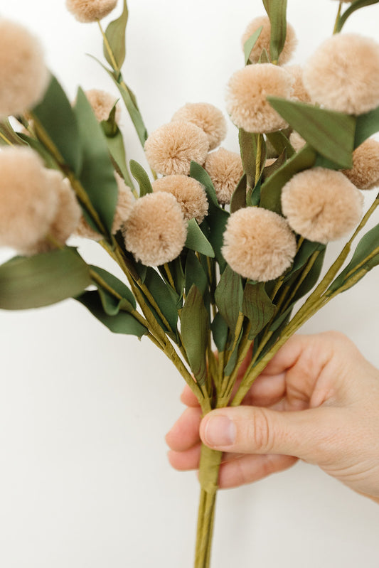 Tan Pompom Bundle - 6 Stems - 13"