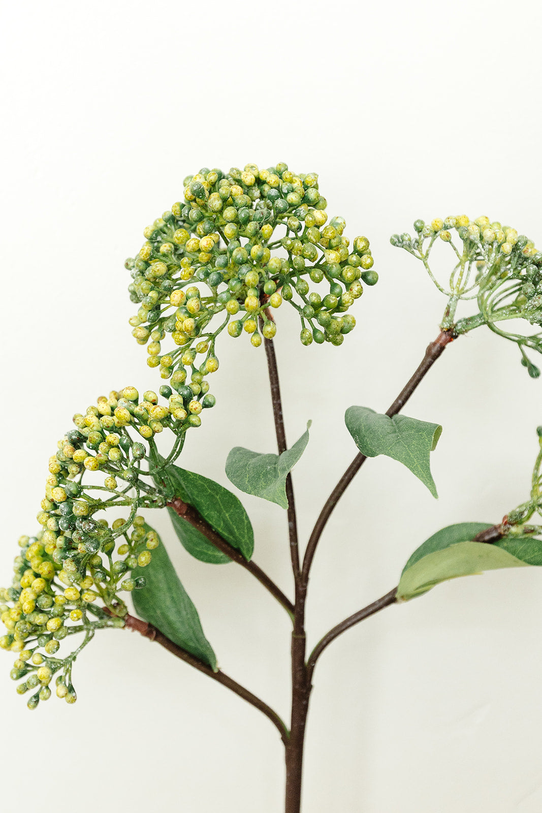 Green Sedum Spray - 16.5"