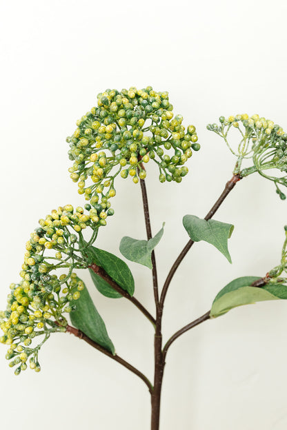 Green Sedum Spray - 16.5"