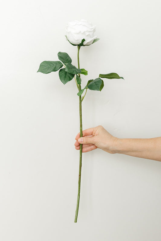 Real Touch Austin Rose Stem - 24" - White