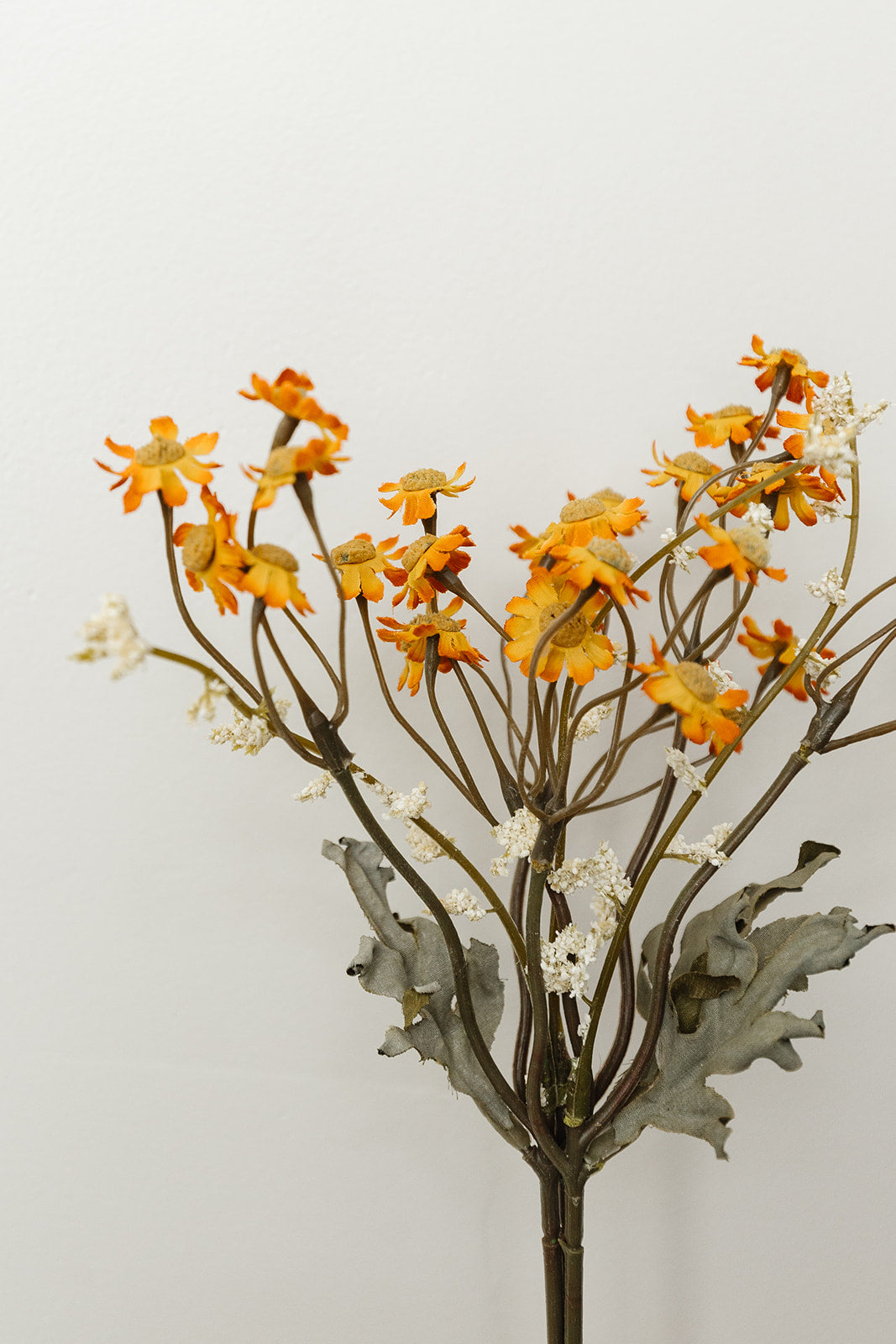 Mini Daisy Bundle - 13" - orange