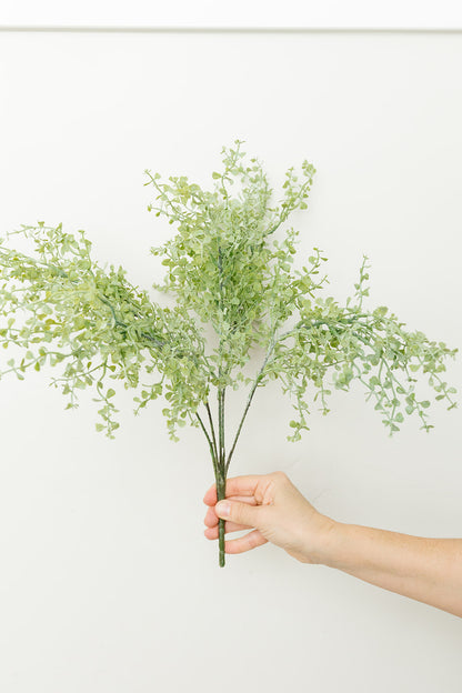 Button Fern Bush - 17"