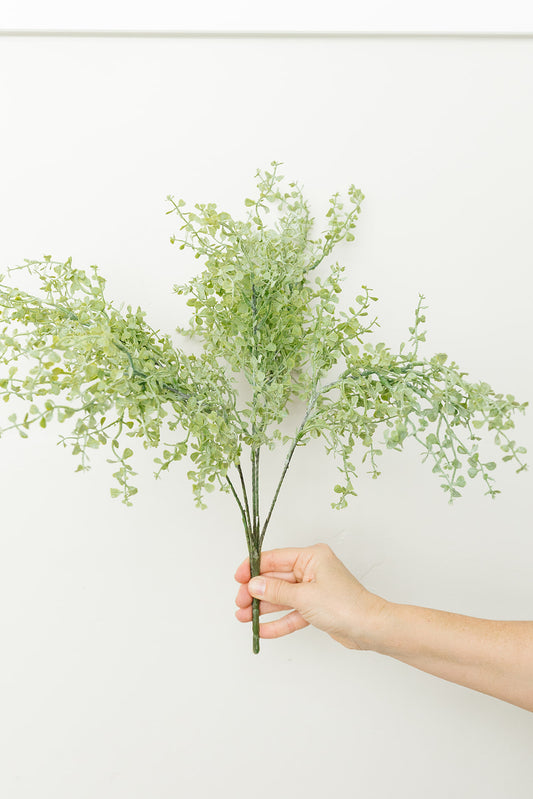 Button Fern Bush - 17"