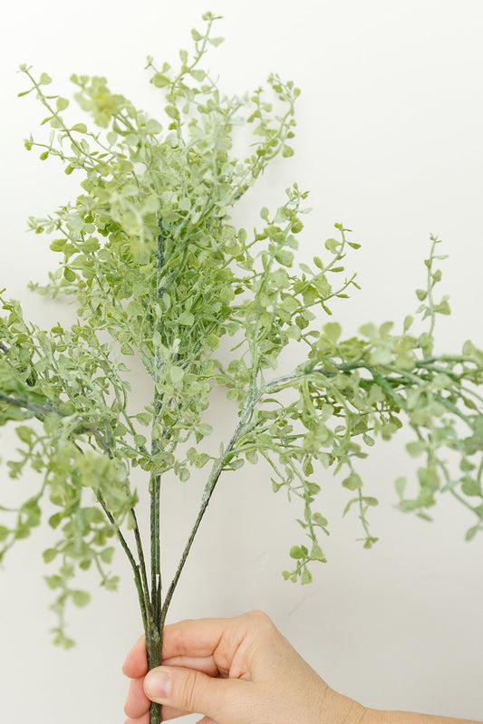 Button Fern Bush - 17"