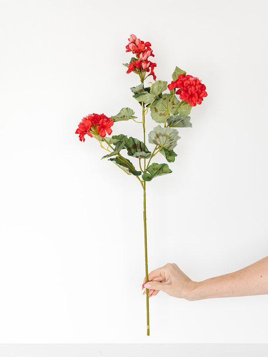 Dark Coral Geranium Spray - 31"
