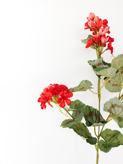 Dark Coral Geranium Spray - 31"