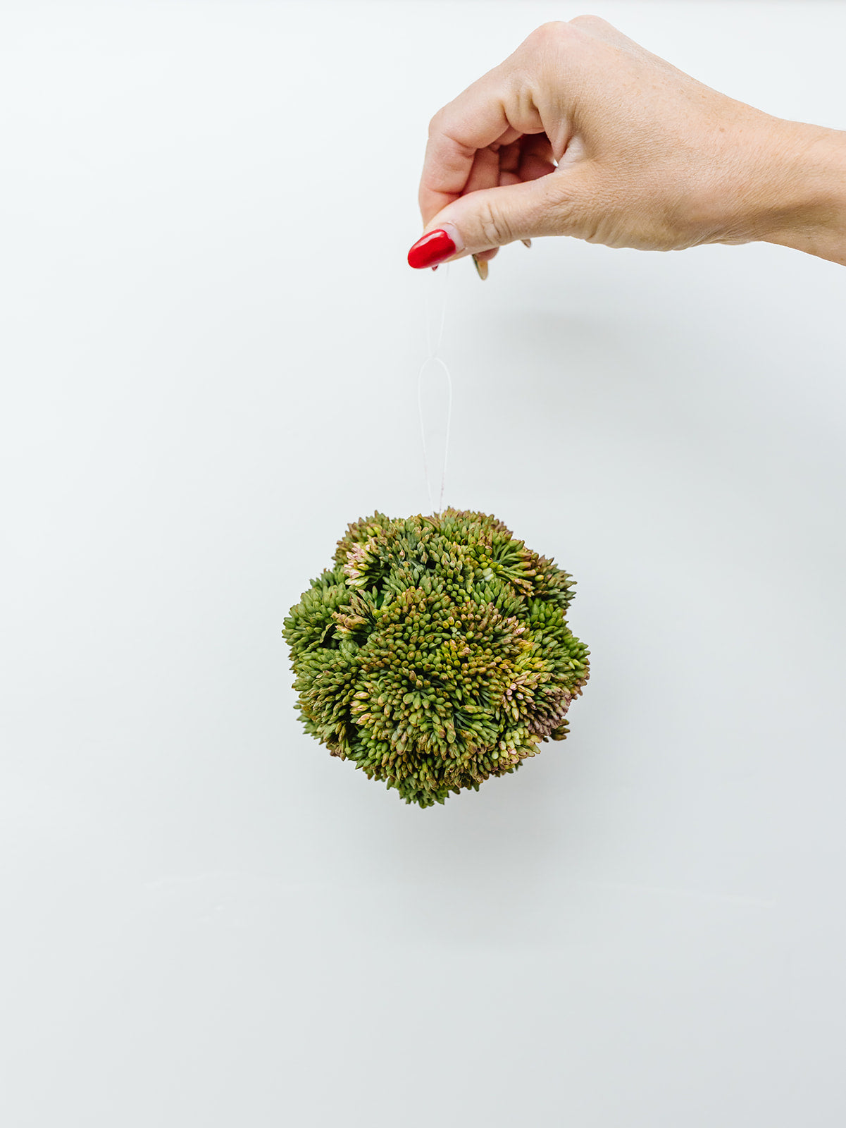 Dark Green Sedum Ball 4'