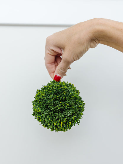 Sedum Ball 4"