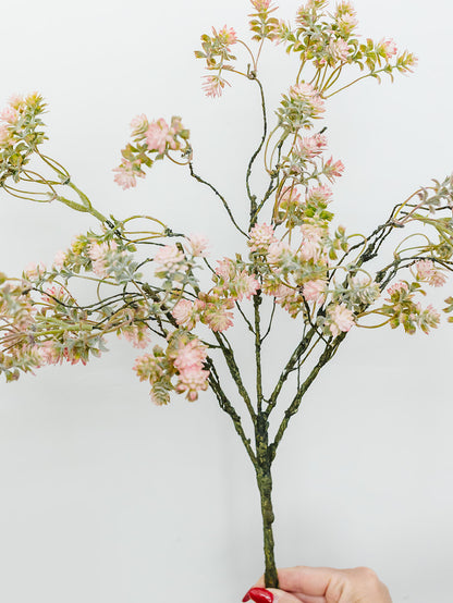Sedum Bush - 18"