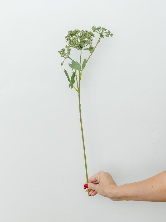 Angelica Spray - 23.5