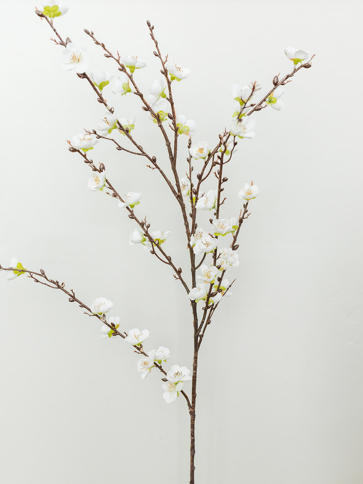 White Plum Cherry Blossom Spray - 39"