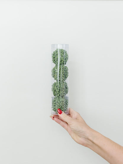 Sedum Orb - Set of 4