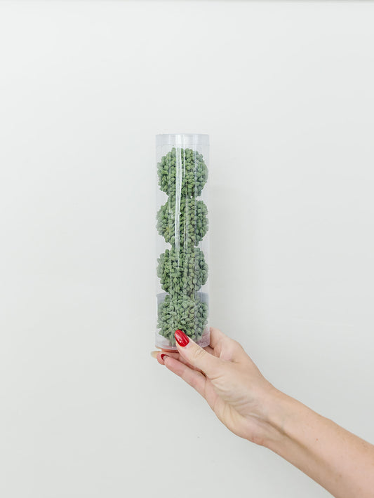 Sedum Orb - Set of 4