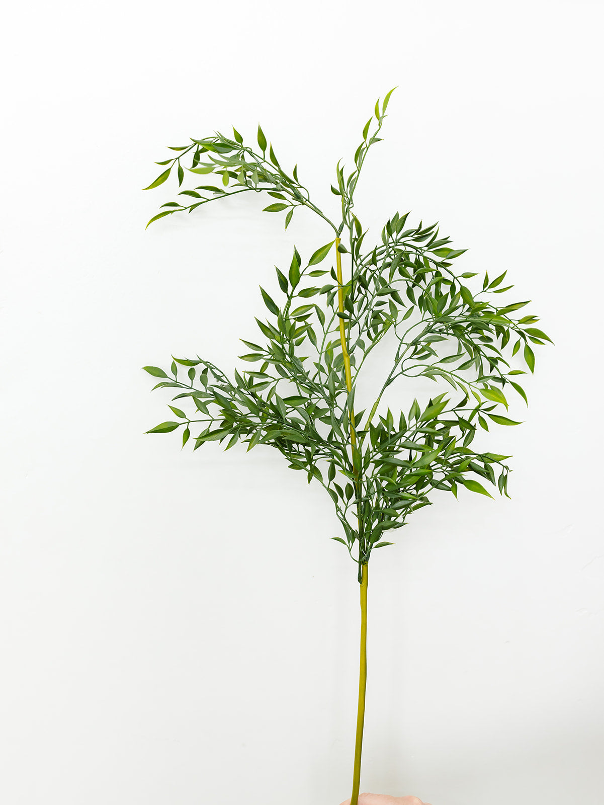 Mini Bamboo Leafed Stem- 39"