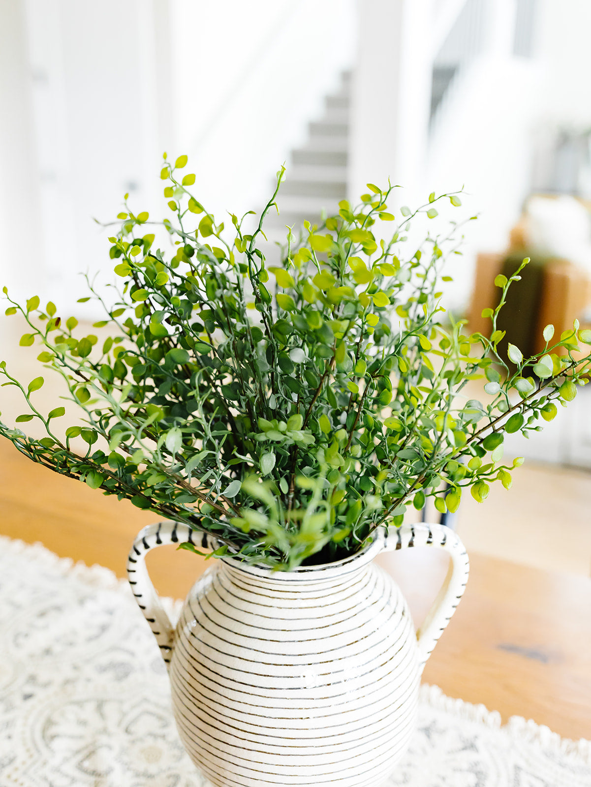 Muehlenbeckia Wire Bush - 10"