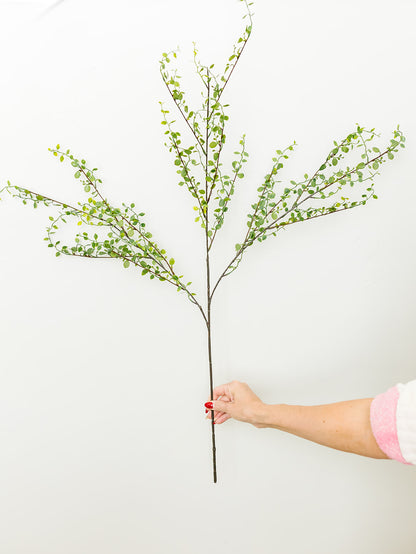 Muehlenbeckia Wire Spray - 42"