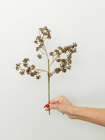 Plum Soft Sedum Spray - 16"
