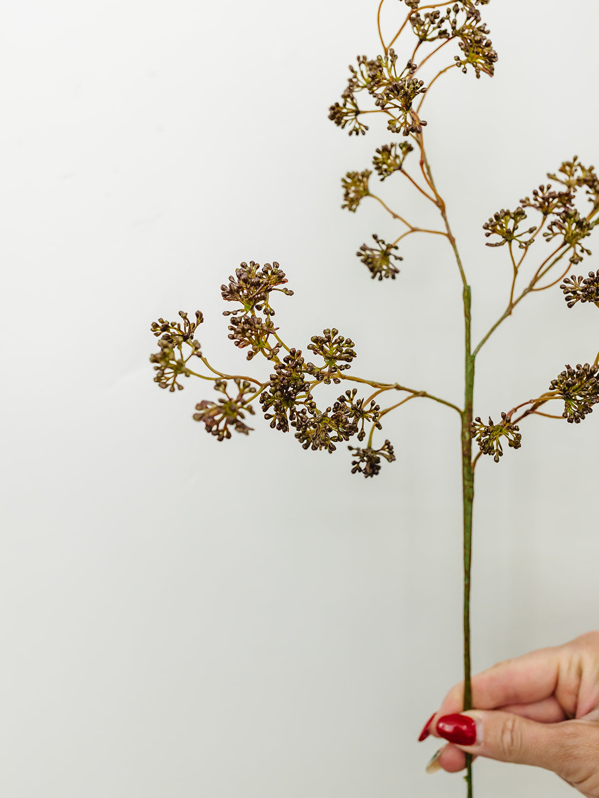 Plum Soft Sedum Spray - 16"