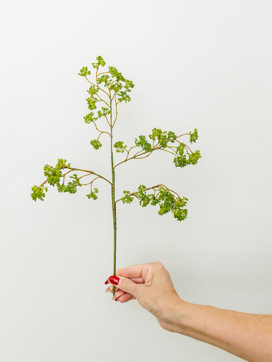Soft Sedum Spray - 16"