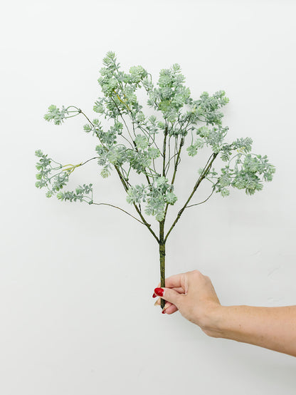 Sedum Bush - 18"