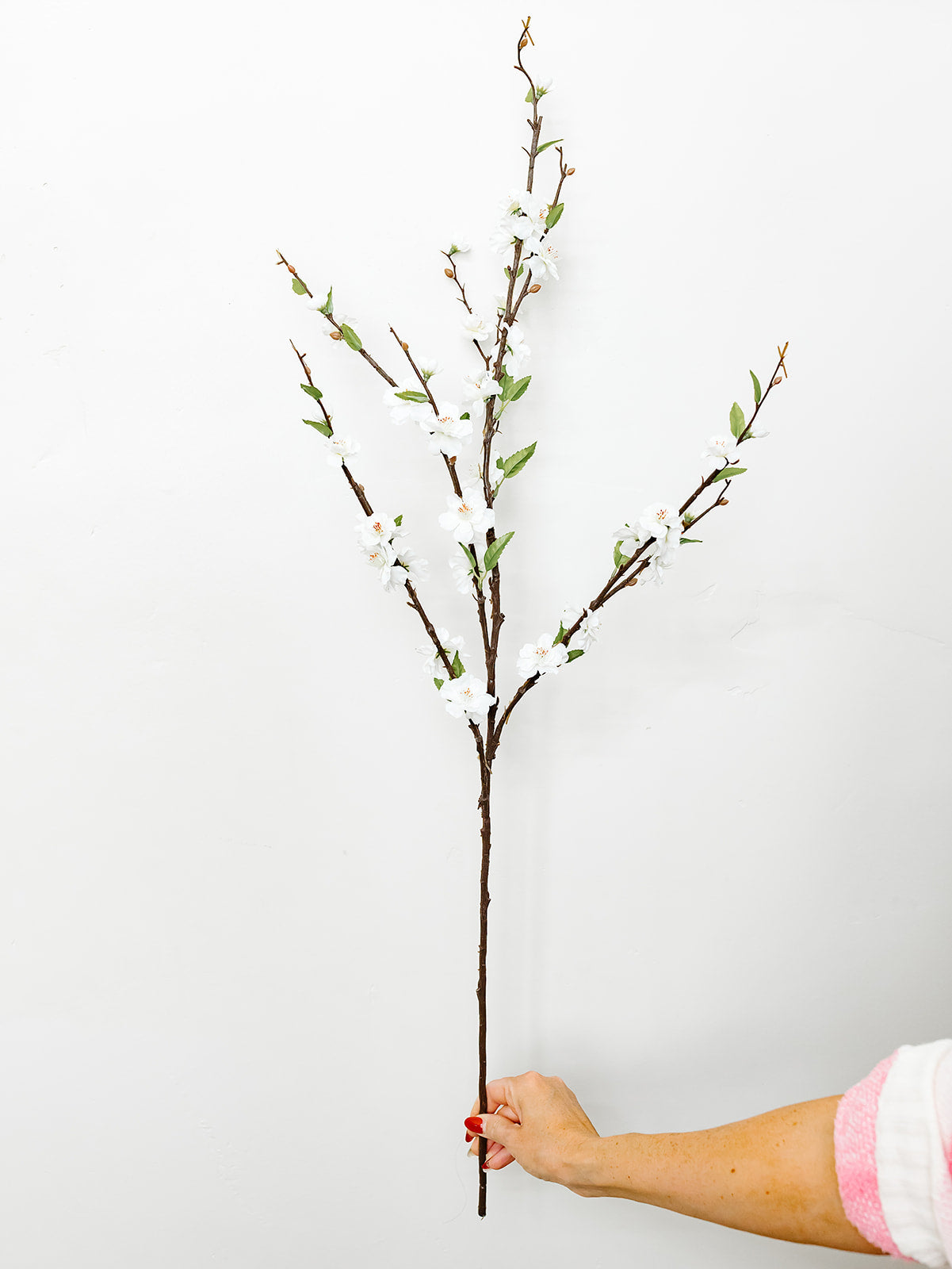White Cherry Blossom Stem