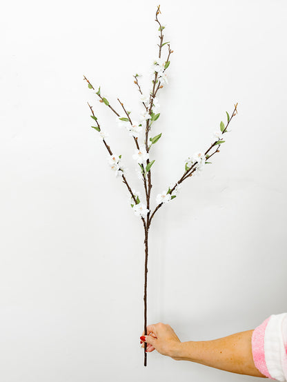 White Cherry Blossom Stem