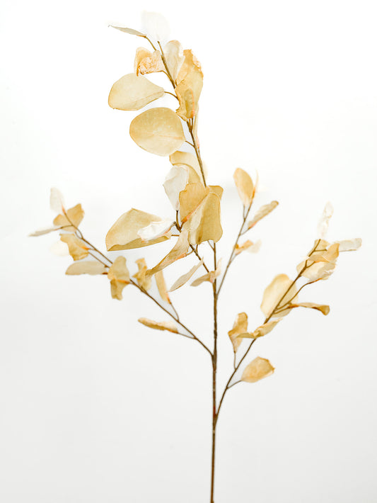 Cream Eucalyptus Spray - 38.5"