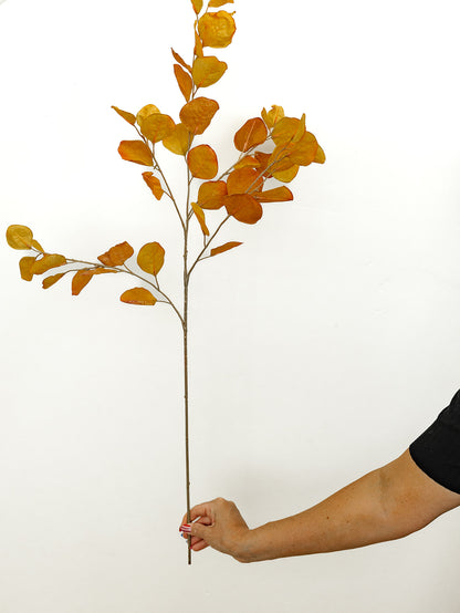 Orange Eucalyptus - 38.5"