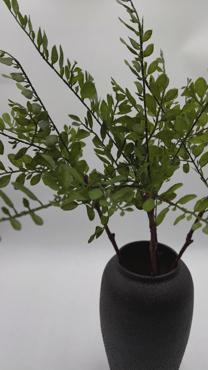 Sophora Japonica Leaf Stem- 26"