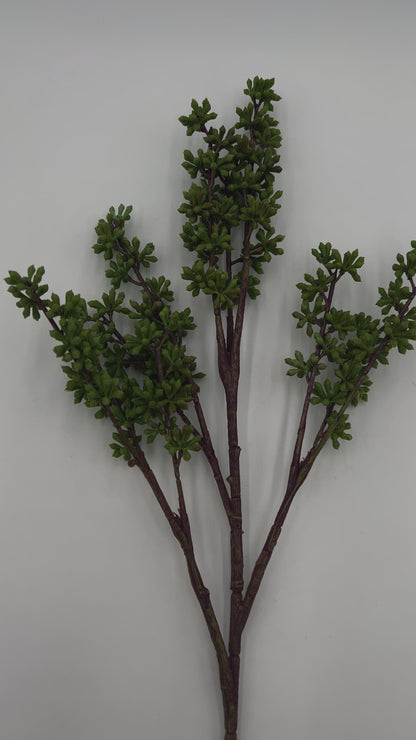 Green Berry Stem - 24.5"